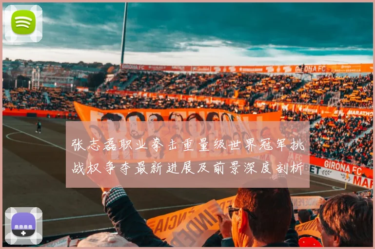 张志磊职业拳击重量级世界冠军挑战权争夺最新进展及前景深度剖析