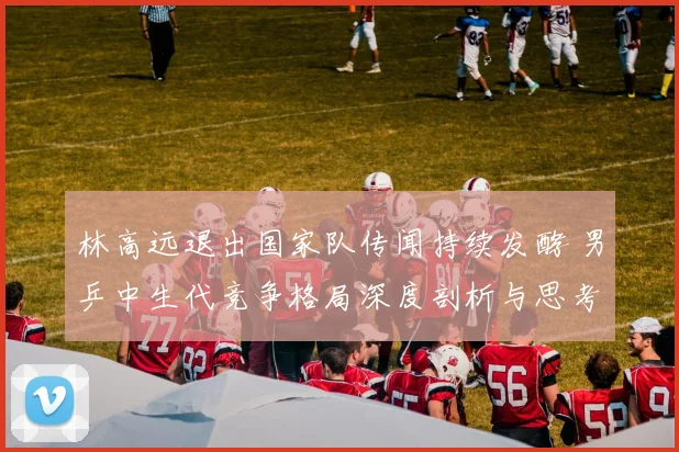 林高远退出国家队传闻持续发酵 男乒中生代竞争格局深度剖析与思考